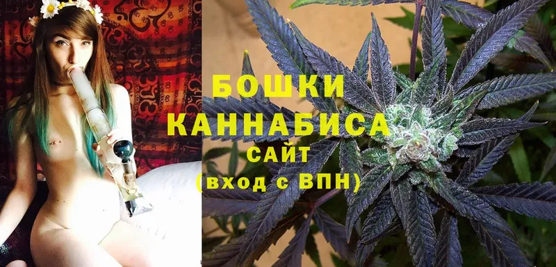 где продают наркотики  Тольятти  Бошки марихуана White Widow 